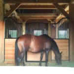 Timber Frame Horse Barn